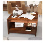 Table basse carrée de style rustique avec étagère inférieure pour salon, organisateur, marron