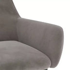 vidaXL Lot de 2 chaises de salle à manger Velours (100 % polyester) gris clair, métal