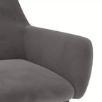 vidaXL Lot de 2 chaises de salle à manger Velours (100 % polyester) gris clair, métal
