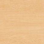 60W x 24D Credenza Desk