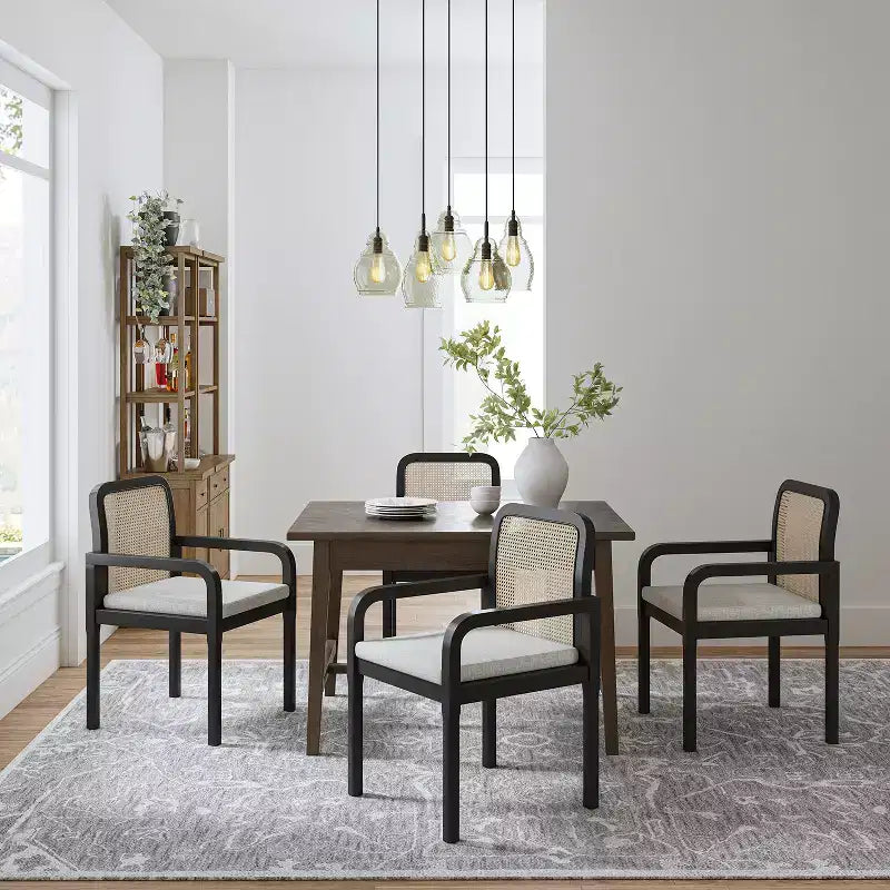 Hieromymus Chaises de salle à manger modernes Ratten avec coussin amovible, lot de 2 | HULALA HOME