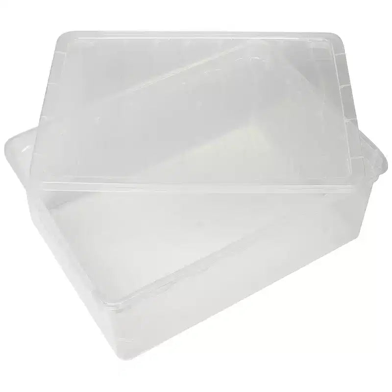 Basicwise Clear Shoe Storage Boxes with Lids - Stackable Plastic Organizer Bin for Closet, Sneaker Storage, Accessories - Shatterproof, Secure-Fit