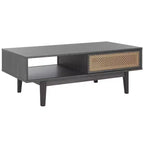 Table basse 2 portes Ceu - Safavieh