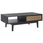 Table basse 2 portes Ceu - Safavieh