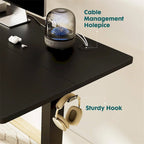 Height Adjustable Standing Desk with Electric Motor